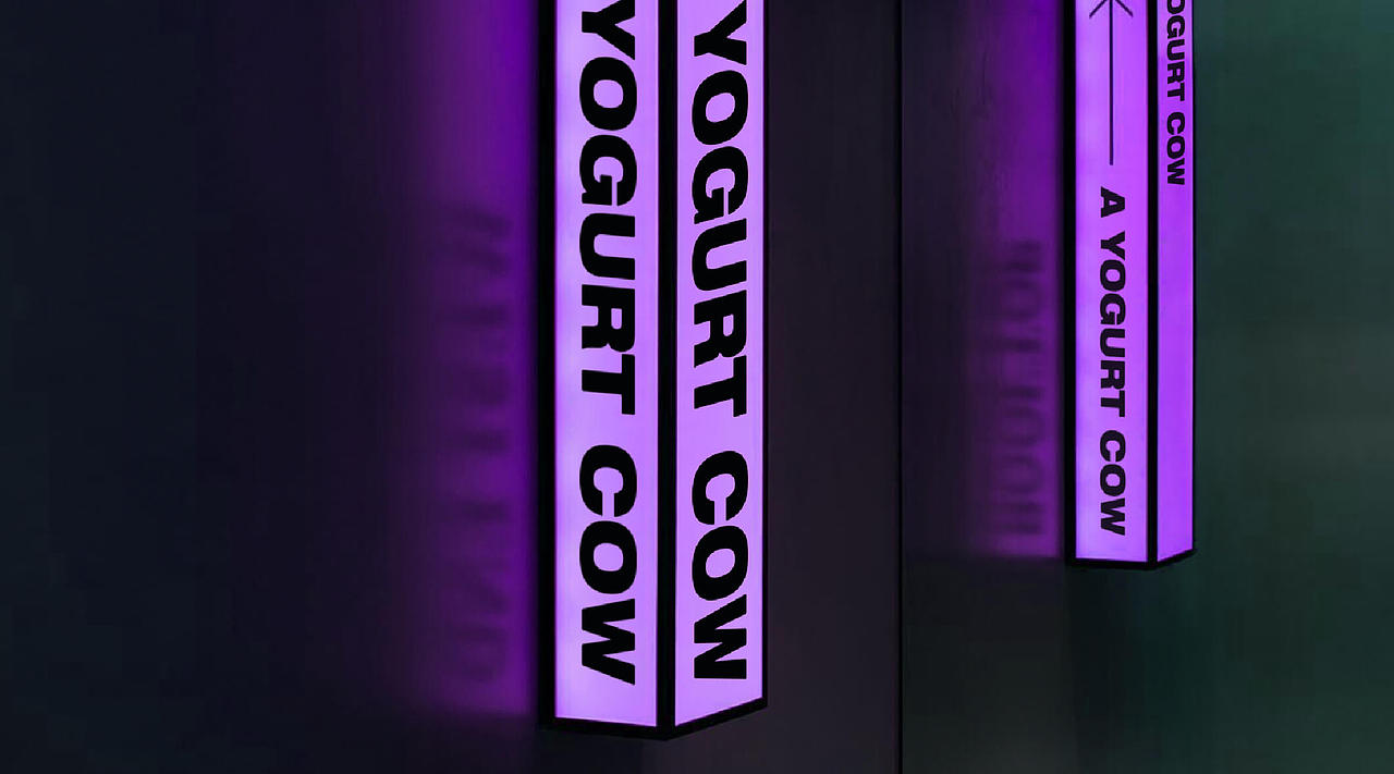 理所设计 | 一只酸奶牛