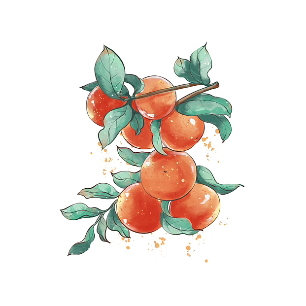 插画水果合集(24节气)