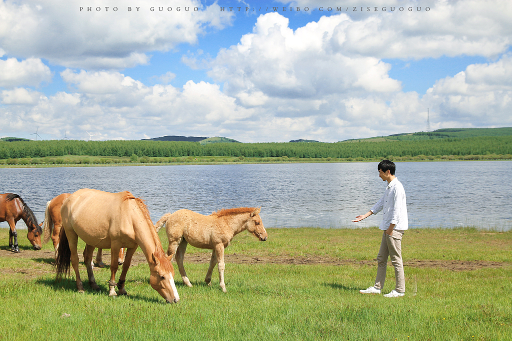 塞罕坝—乌兰布统