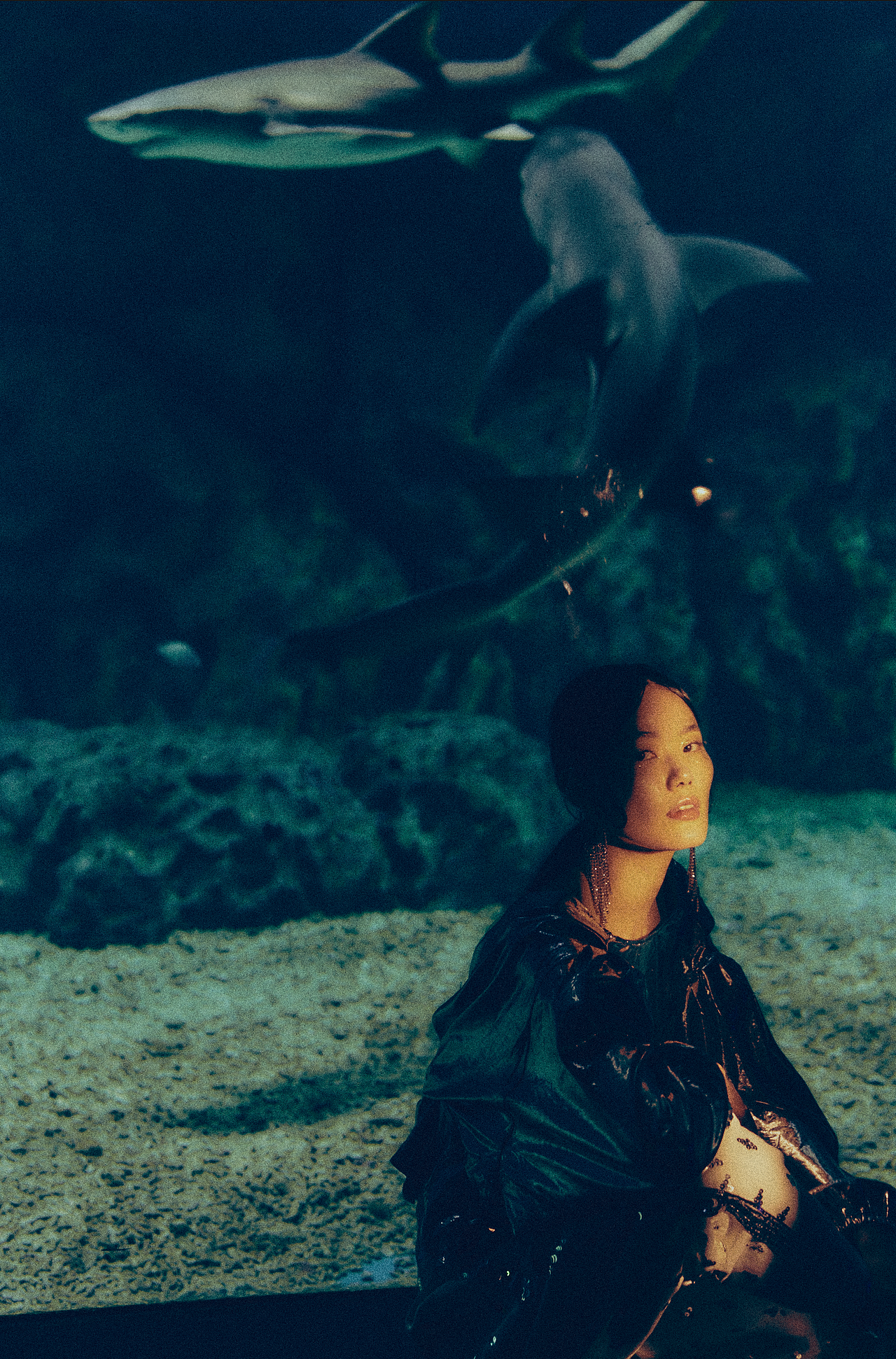 海洋馆大片（图ZMzY3MTQ5MjE2） - 时尚/艺术摄影 - 站酷设计师TimDong原创素材 - 站酷ZCOOL