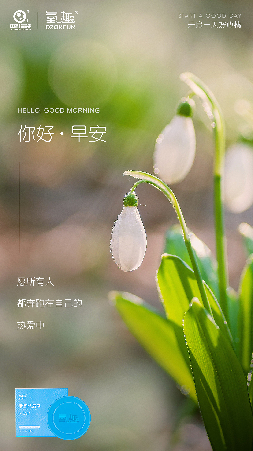 早安海报