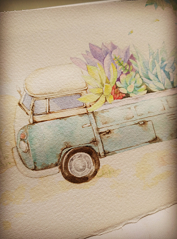 开着多肉小车去旅行~