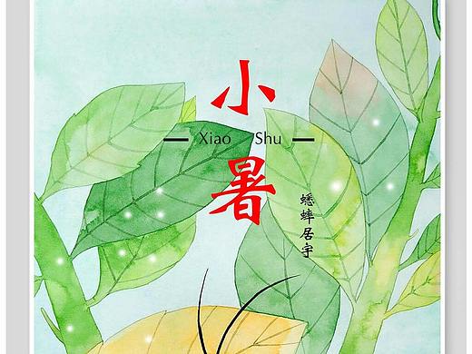 小暑插画