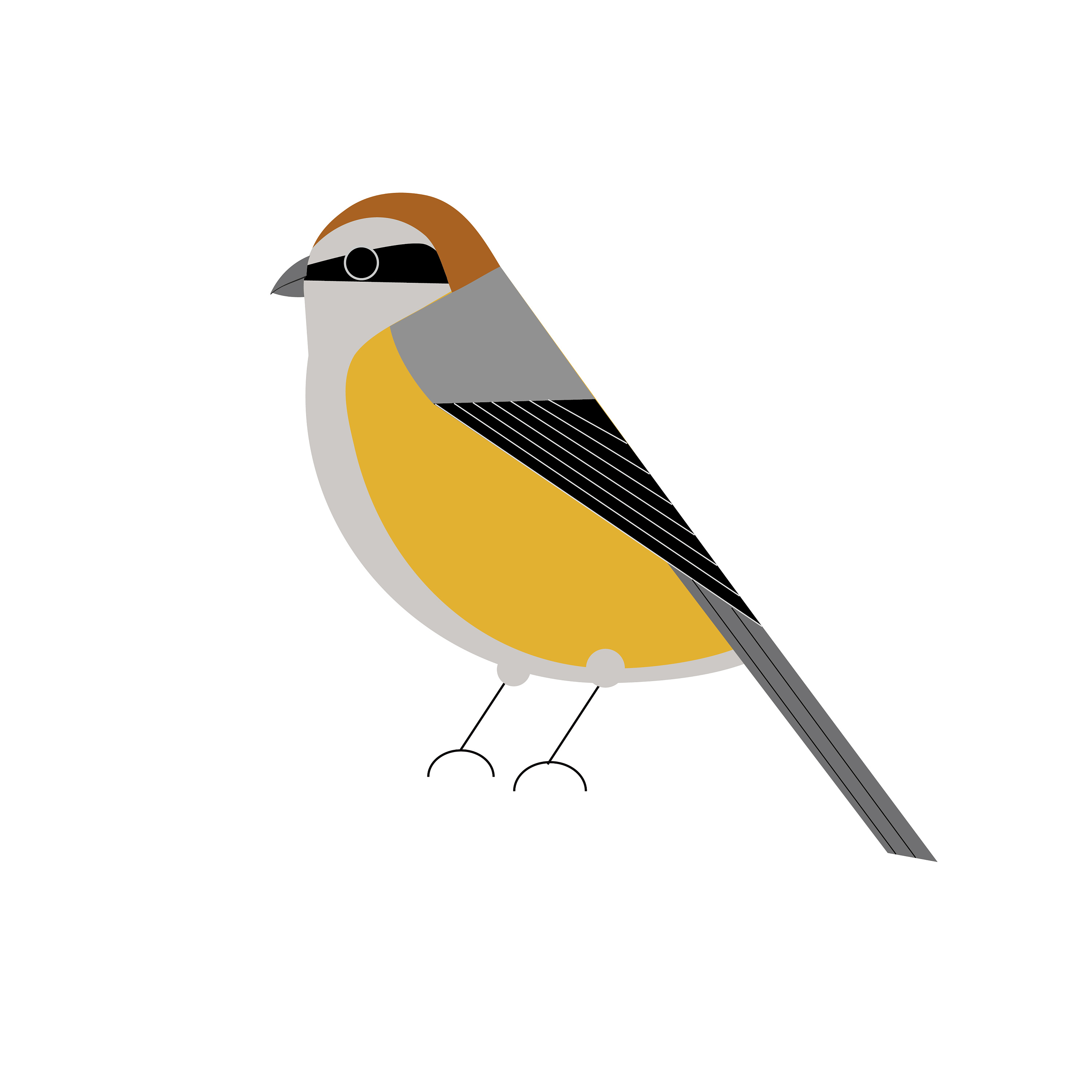 黄丽鸟 |插画|创作习作|小咸鱼先森 - 原创作品 - 站酷 (zcool)