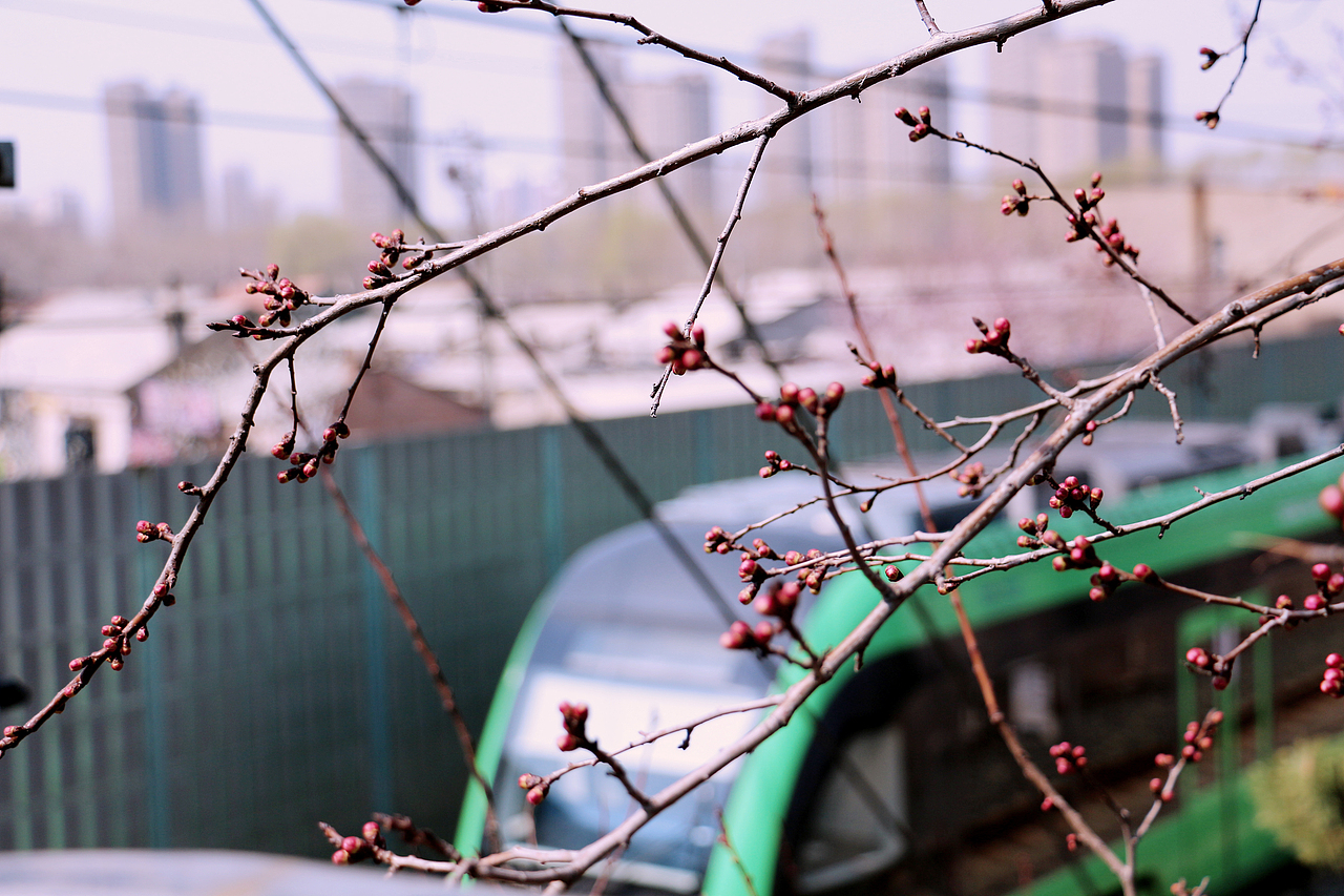 因为热爱 所以闪光