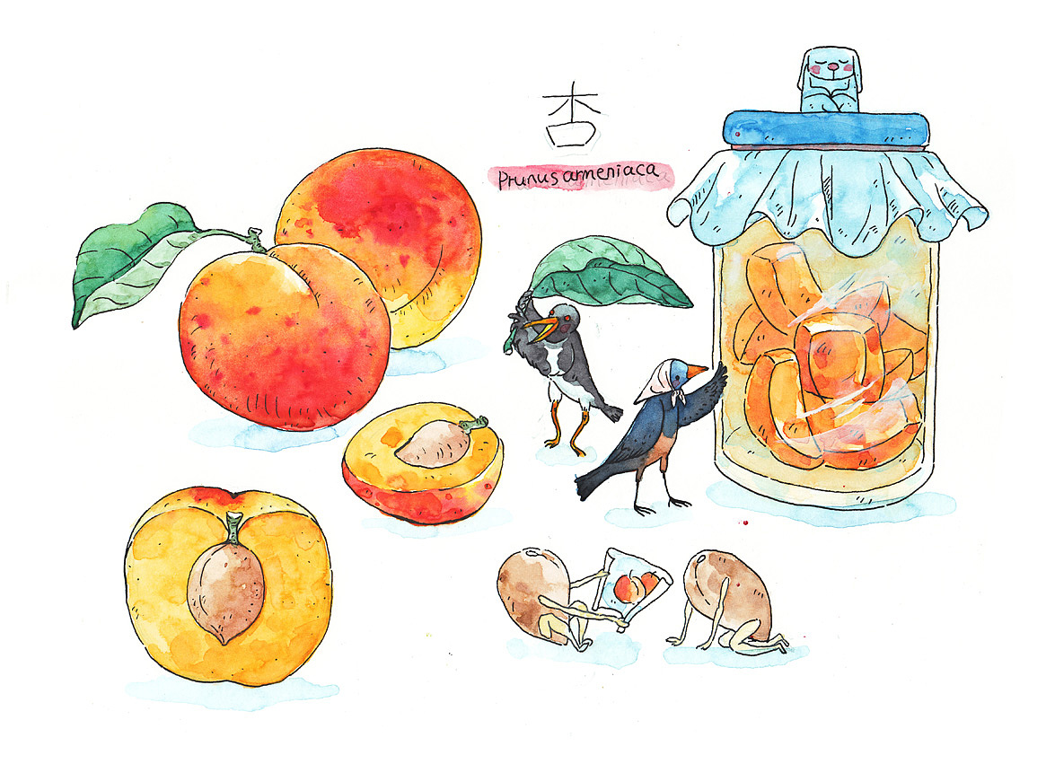 《水果的秘密》（图ZMjgxMTU0Njg0） - 创作习作 - 站酷设计师灰猫大米原创素材 - 站酷ZCOOL