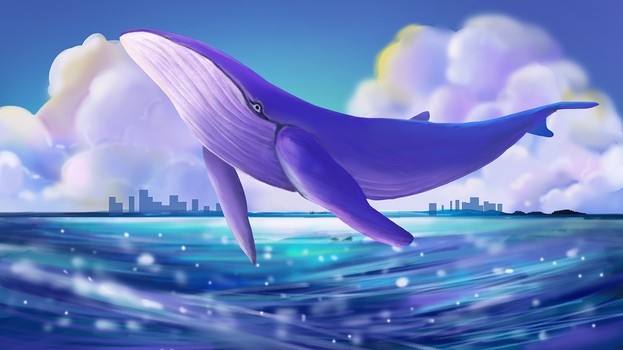 鲸
