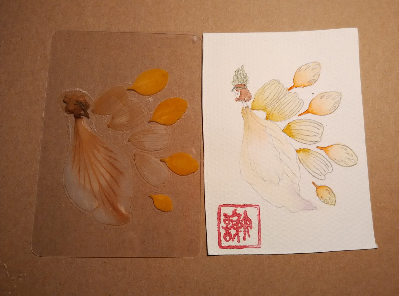 植物标本书签水彩画