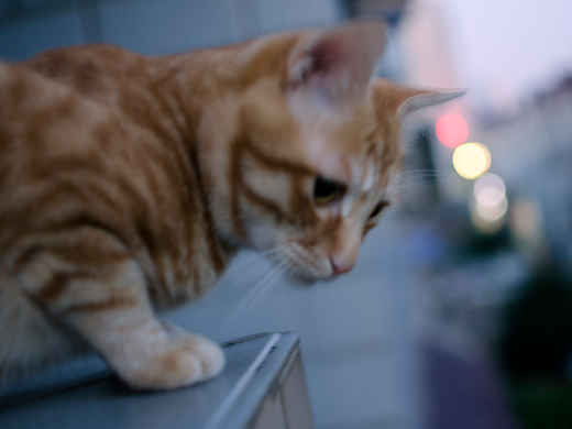 世界那么大，我想去看看