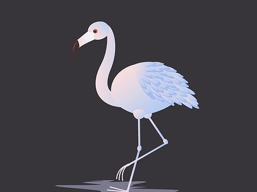 渐变火烈鸟（个人主页-ZMzM4MjE5MzY=） - 其他平面 - 站酷设计师亲爱的路人vfdbde原创素材 - 站酷ZCOOL