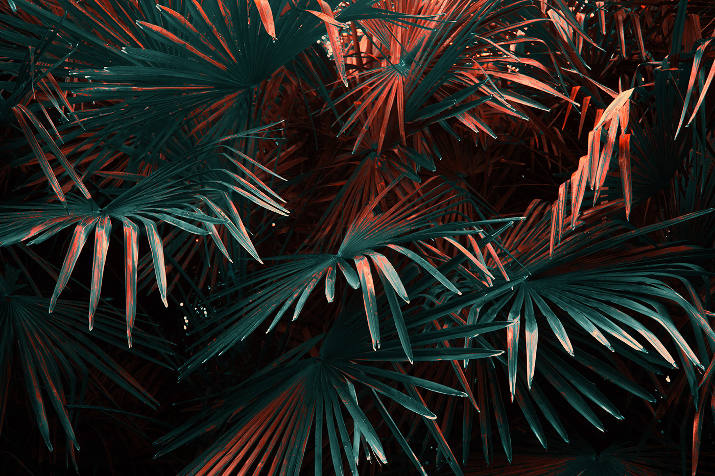 Dr小涛的个人主页（封面预览） - 主页封面设置 - 站酷设计师Dr小涛原创素材 - 站酷ZCOOL