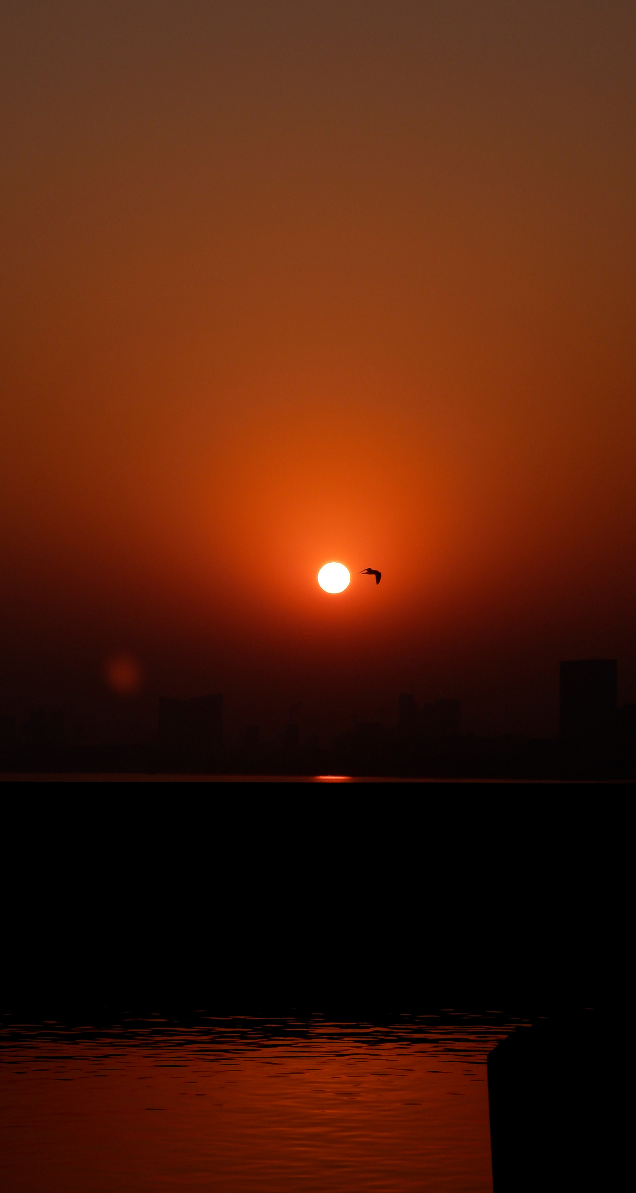 追到太阳啦~(微单拍摄)