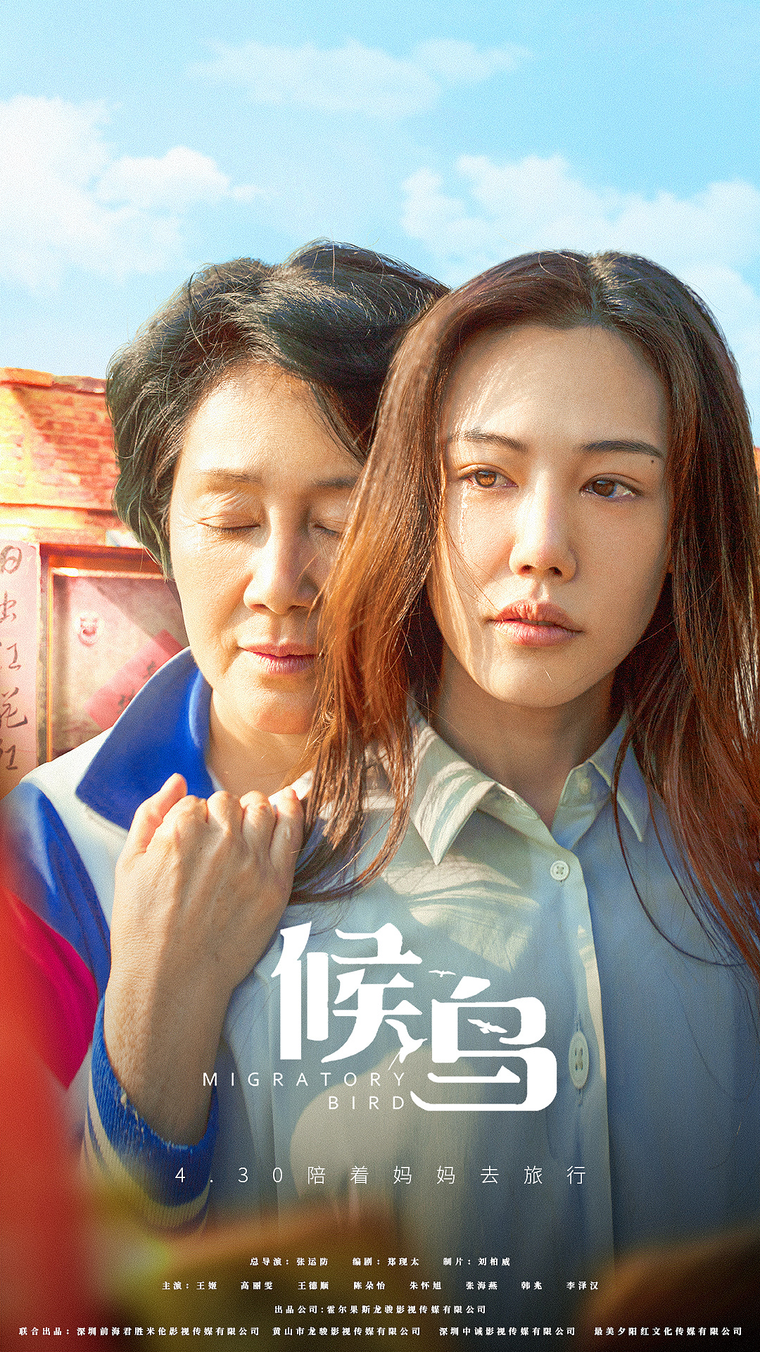 《候鸟》海报
