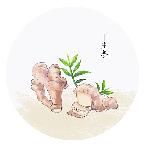 插画习作——中草药（图ZMTA2NzY1MTQ0） - 创作习作 - 站酷设计师吃榴莲的洋葱原创素材 - 站酷ZCOOL