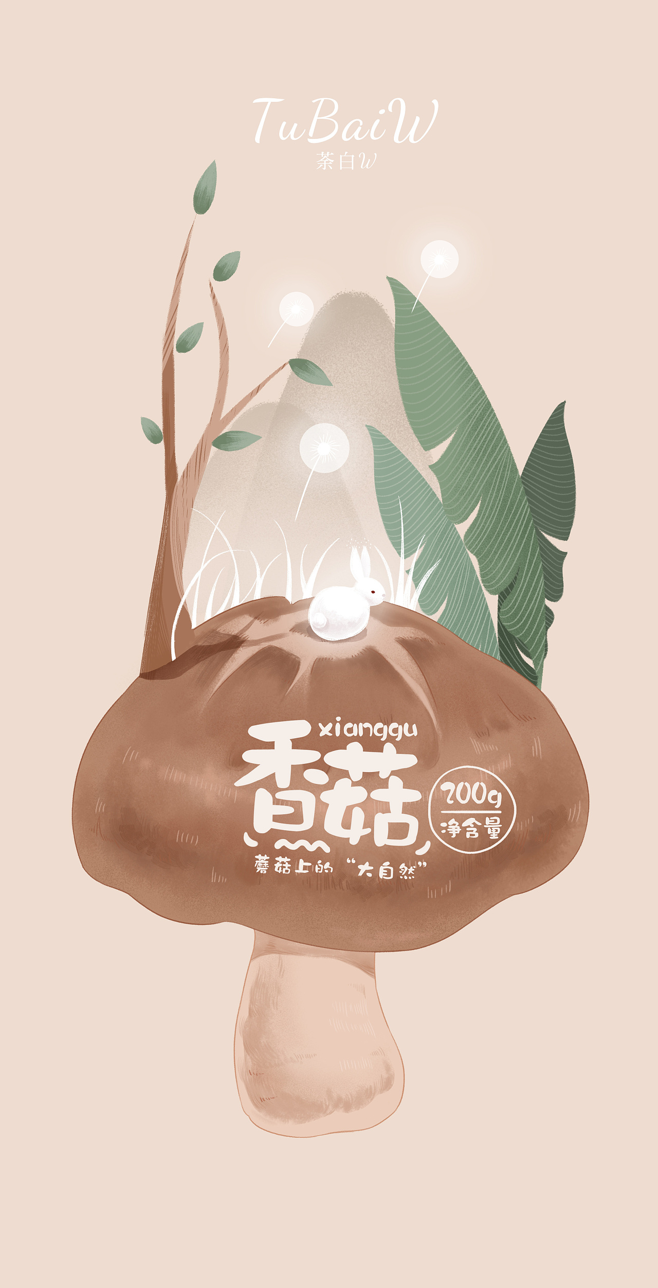 蘑菇系列×包装插画