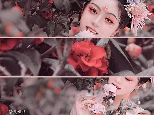《花神梦园记》芙蓉+园林篇