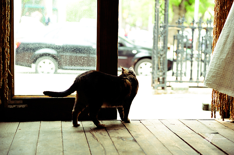 艾书吧的15分钟（图ZMTA1NzgzNg==） - 人文/纪实摄影 - 站酷设计师初蒙Photo原创素材 - 站酷ZCOOL