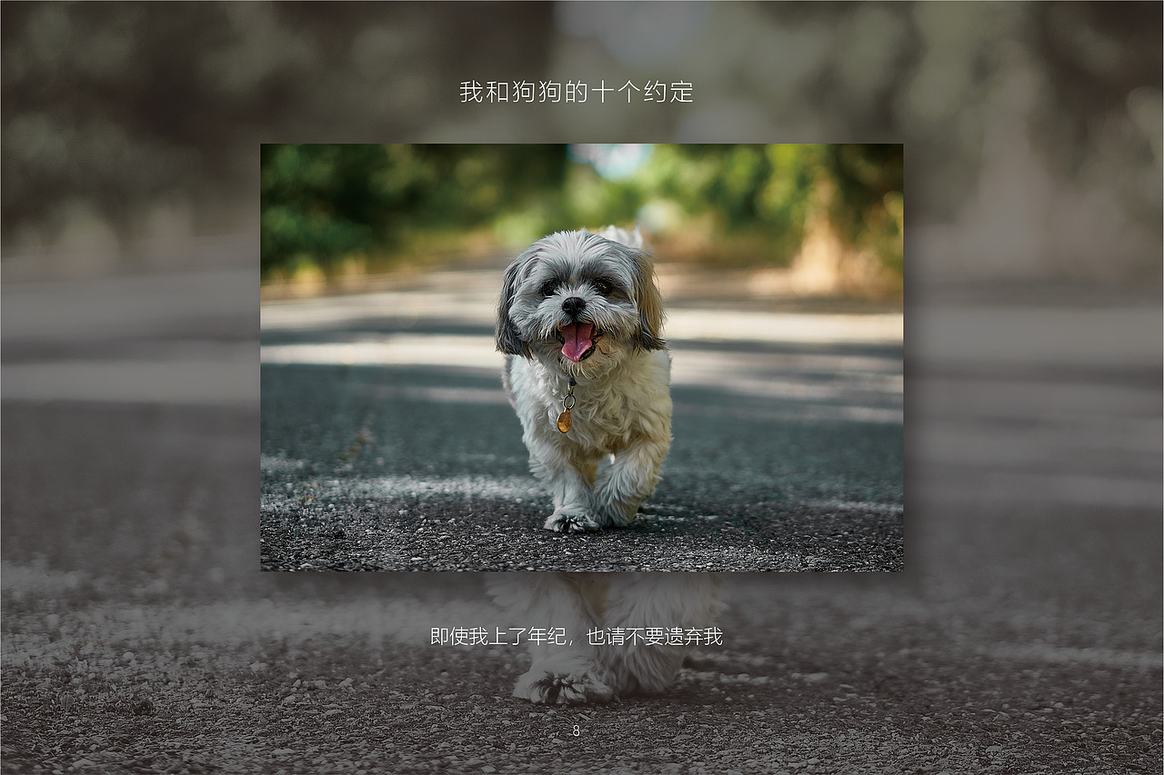 我和狗狗的十个约定InDesign
