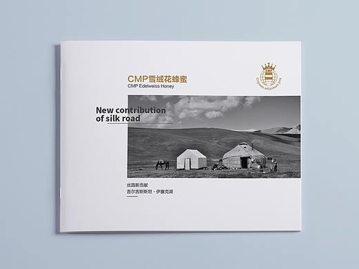 画册设计
