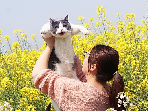 上班中午休息，带着猫咪出去看看春天