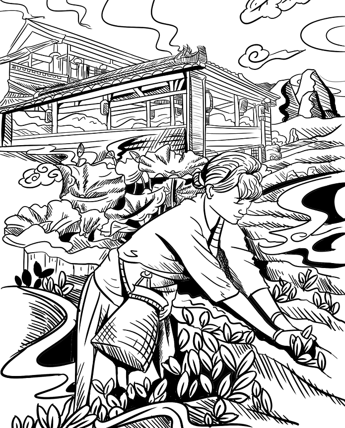 黑白风茶叶包装插画