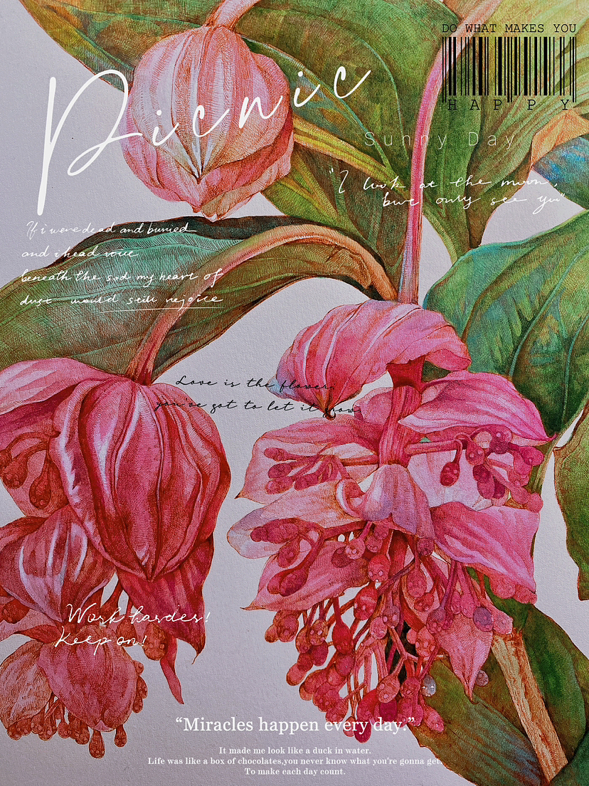 蘸水笔针管笔｜宝莲灯（图ZMzM2ODY2Mjg4） - 艺术插画 - 站酷设计师CatCastleDZ原创素材 - 站酷ZCOOL