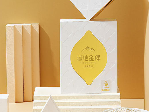 古格王朝丨夏科丨藏地金稞