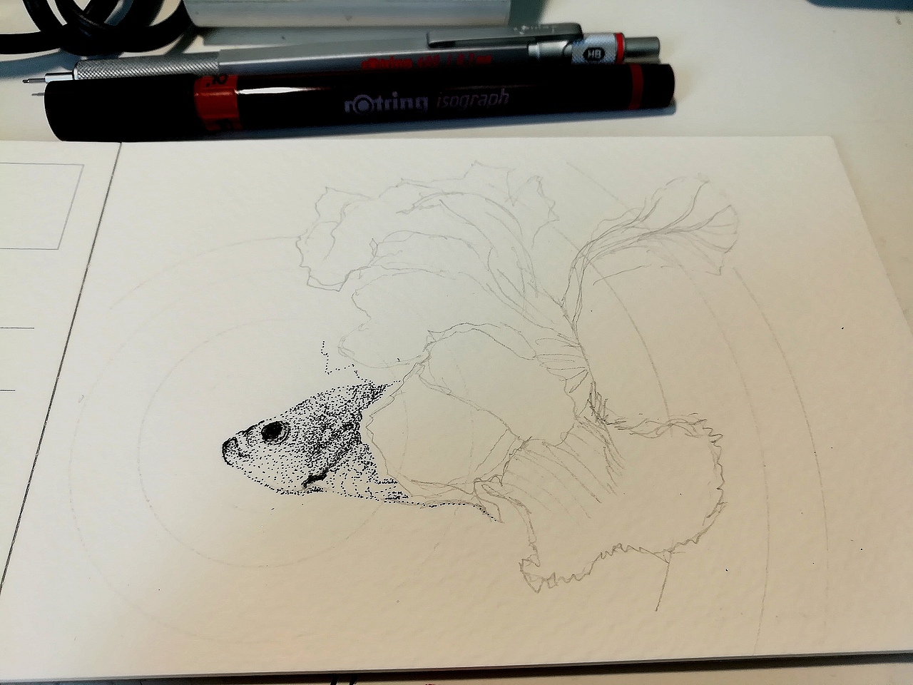 斗鱼曼陀罗（图ZOTA2NTk3MDQ=） - 绘画 - 站酷设计师老树林原创素材 - 站酷ZCOOL