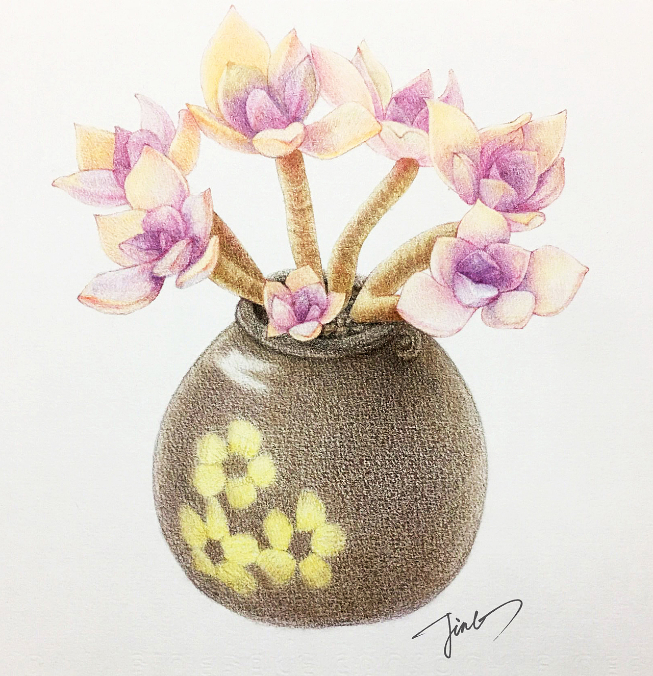 彩铅画作品-多肉植物系列（图ZMjQxOTcyNTA0） - 绘画 - 站酷设计师JINGPP7777原创素材 - 站酷ZCOOL