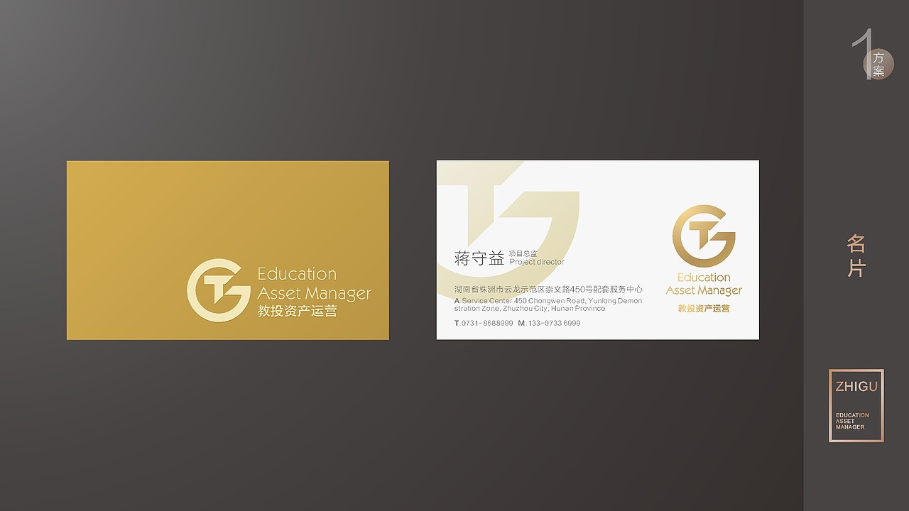 株洲智谷logo设计方案（图ZMjMzMDkwODIw） - 品牌 - 站酷设计师藏翩原创素材 - 站酷ZCOOL