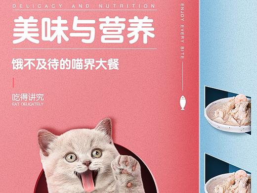 电商详情页-宠物海味猫罐头/幼猫猫粮
