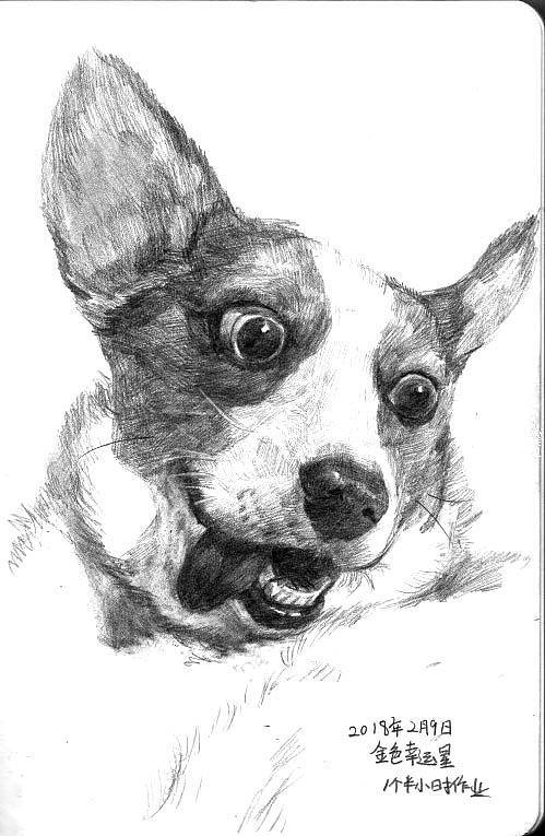 嘤嘤嘤又变成头像练,习狗头练习?3|0|74原创作品/插画/创作习作