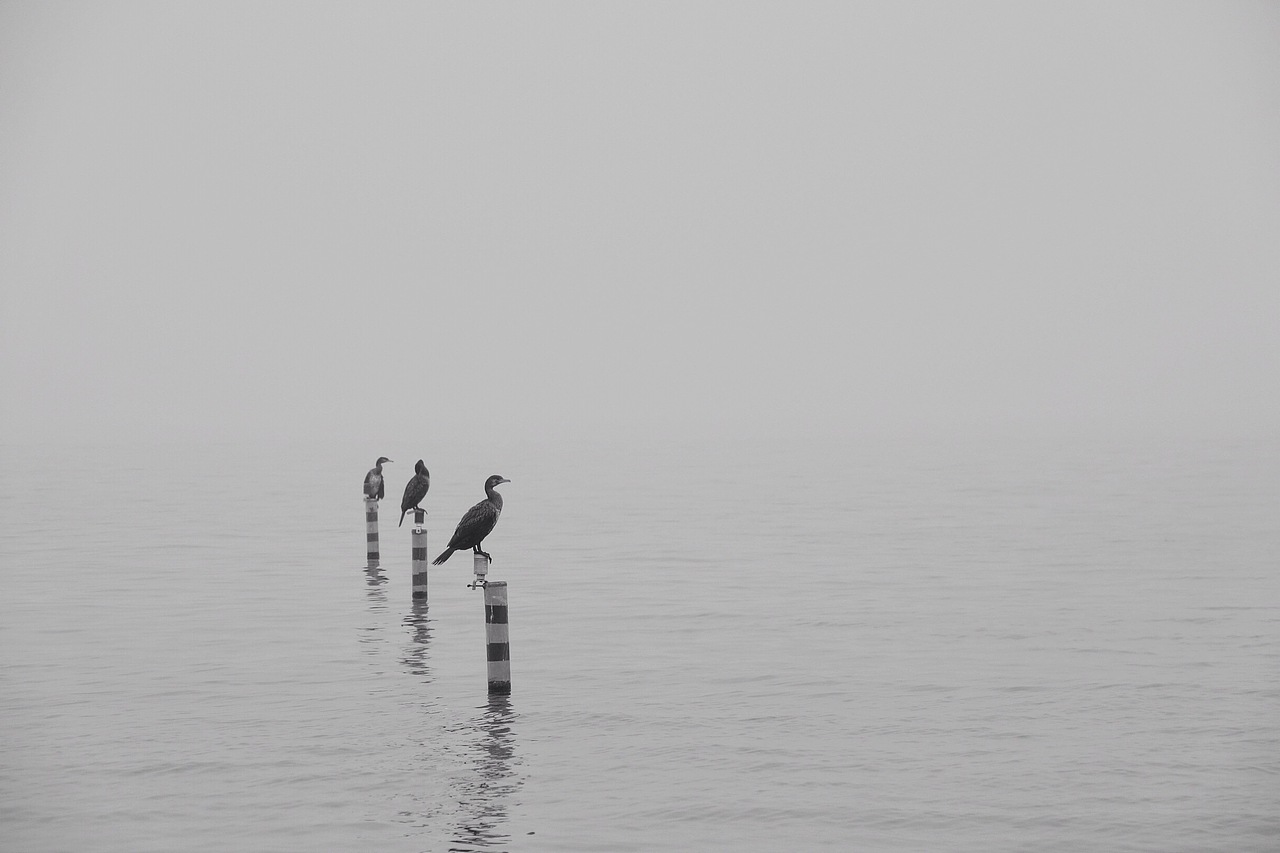 西子最美是烟雨