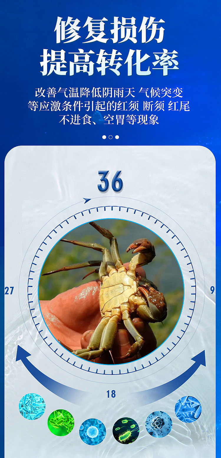 详情页 电商设计 畜禽水产养殖 饲料添加剂