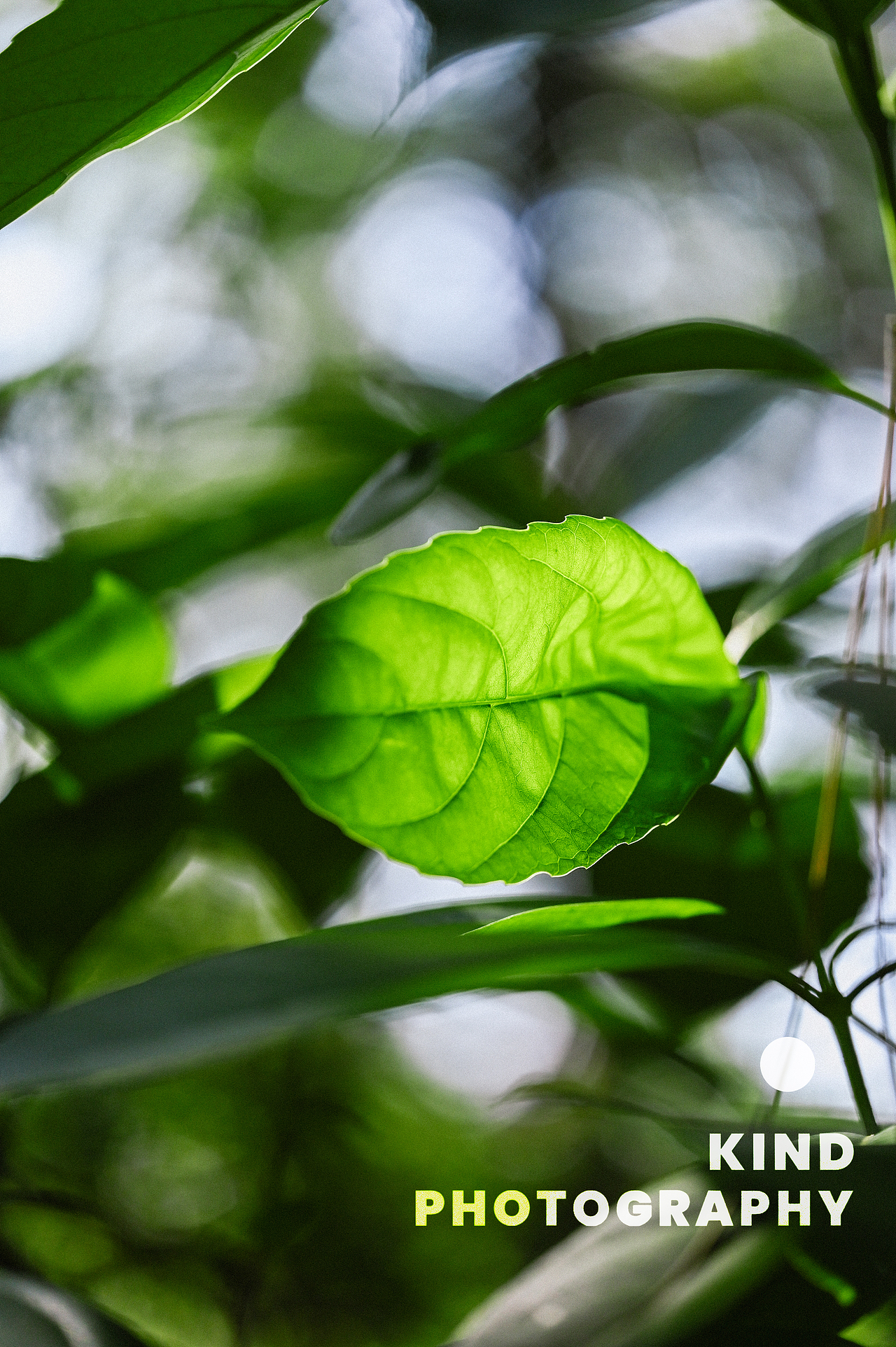 奔向夏的春天| 亲切长沙