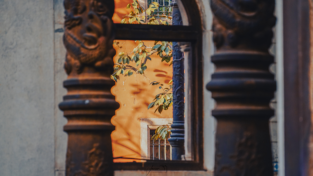 📷·1025-故宫·秋