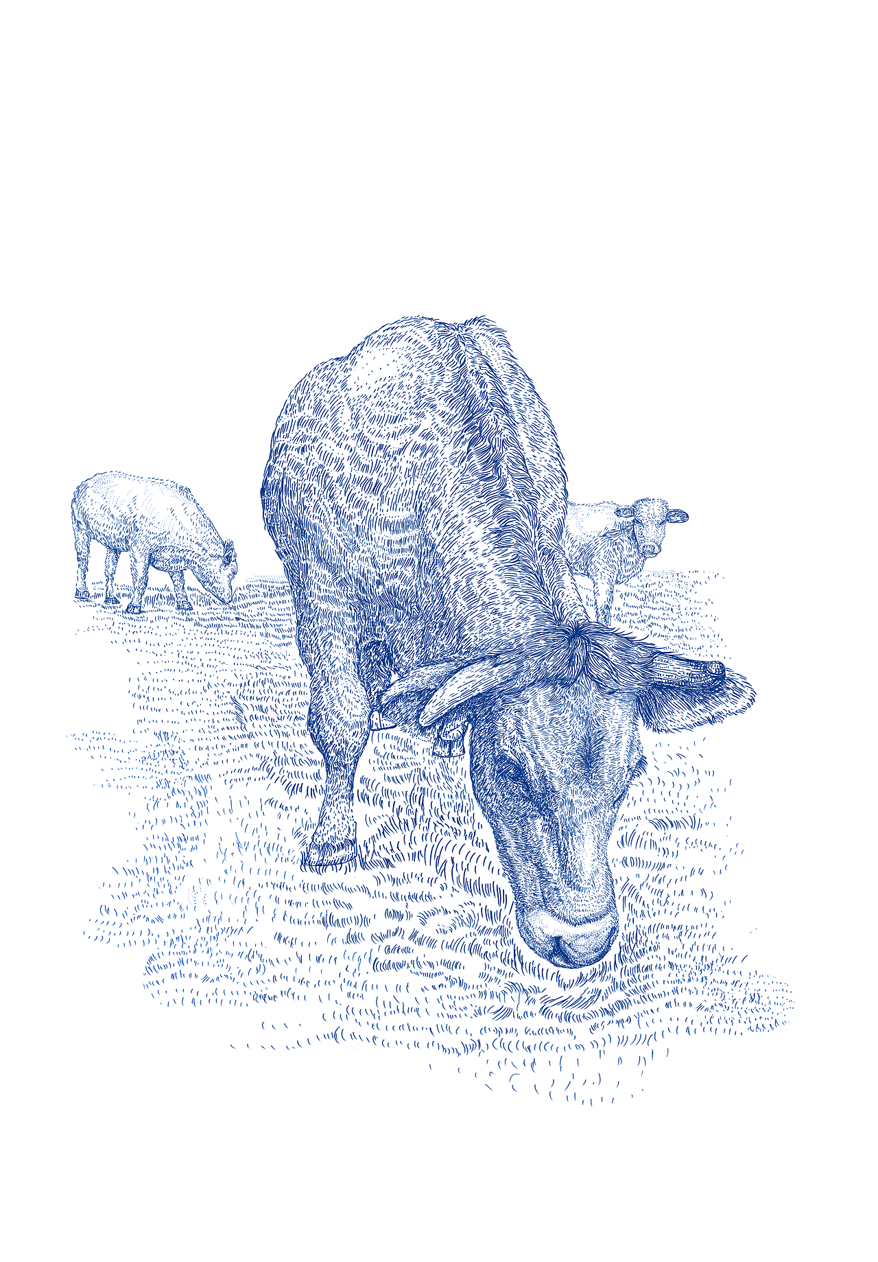 复古·包装插画（图ZMzA5NjU2ODM2） - 商业插画 - 站酷设计师阿道插画原创素材 - 站酷ZCOOL