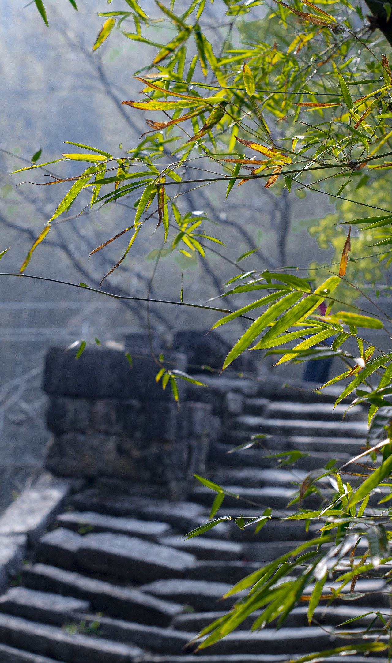 摄影真的好难!!!!修图也好难!!