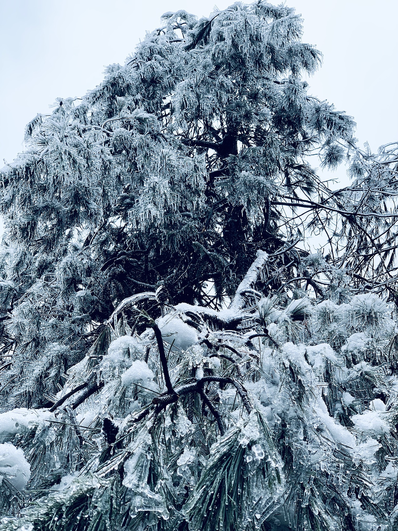 我眼中的冰雪世界（图ZMzI4NjEzNTcy） - 风光摄影 - 站酷设计师欧进辉原创素材 - 站酷ZCOOL