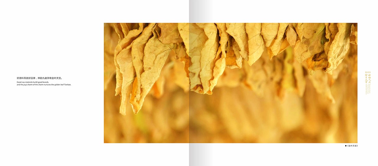 永州烟草——神韵九嶷  金叶天宝