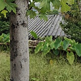宋培美的头像