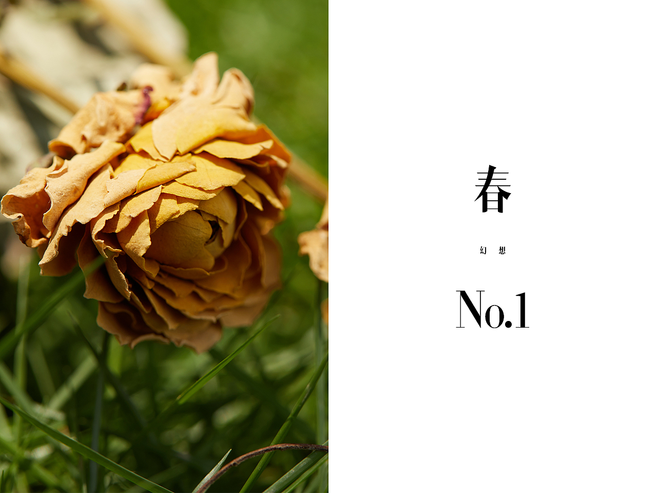 森系1（图ZMTg0MzA3MTMy） - 人像摄影 - 站酷设计师罗辑博士原创素材 - 站酷ZCOOL