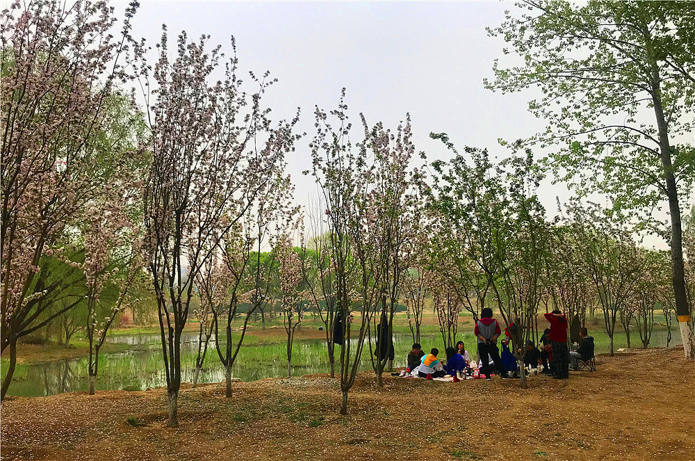 刘勇良手机纪实摄影:繁华似锦