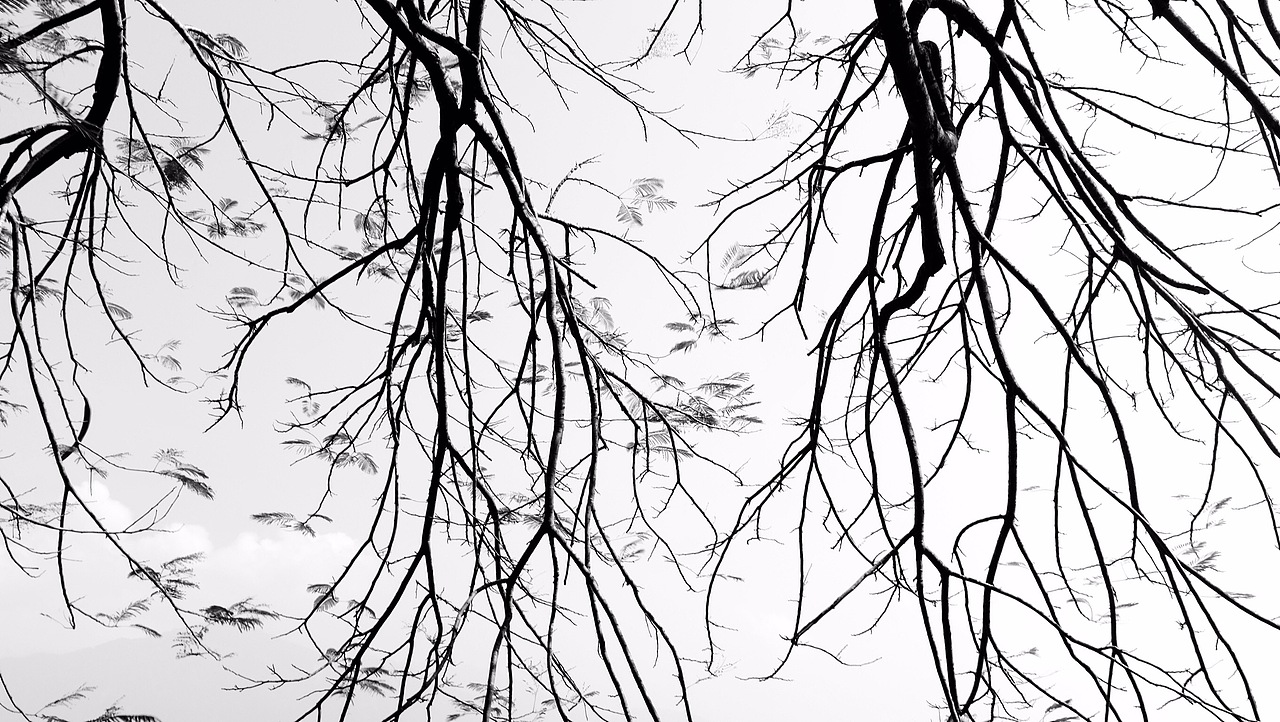 摄影作品-澳门掠影（图ZMjkxNDE4Mjg=） - 风光摄影 - 站酷设计师月野兔V原创素材 - 站酷ZCOOL