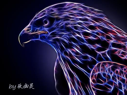 鹰（个人主页-ZMzAwODMwMzY=） - 图案 - 站酷设计师夜幽灵原创素材 - 站酷ZCOOL