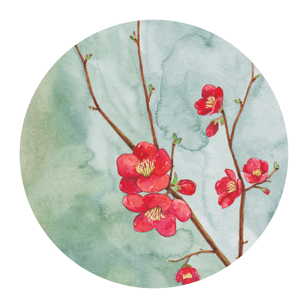 花信風（圖ZOTU0OTE5MjA=） - 商業(yè)插畫 - 站酷設計師吳都Jasmine原創(chuàng)素材 - 站酷ZCOOL