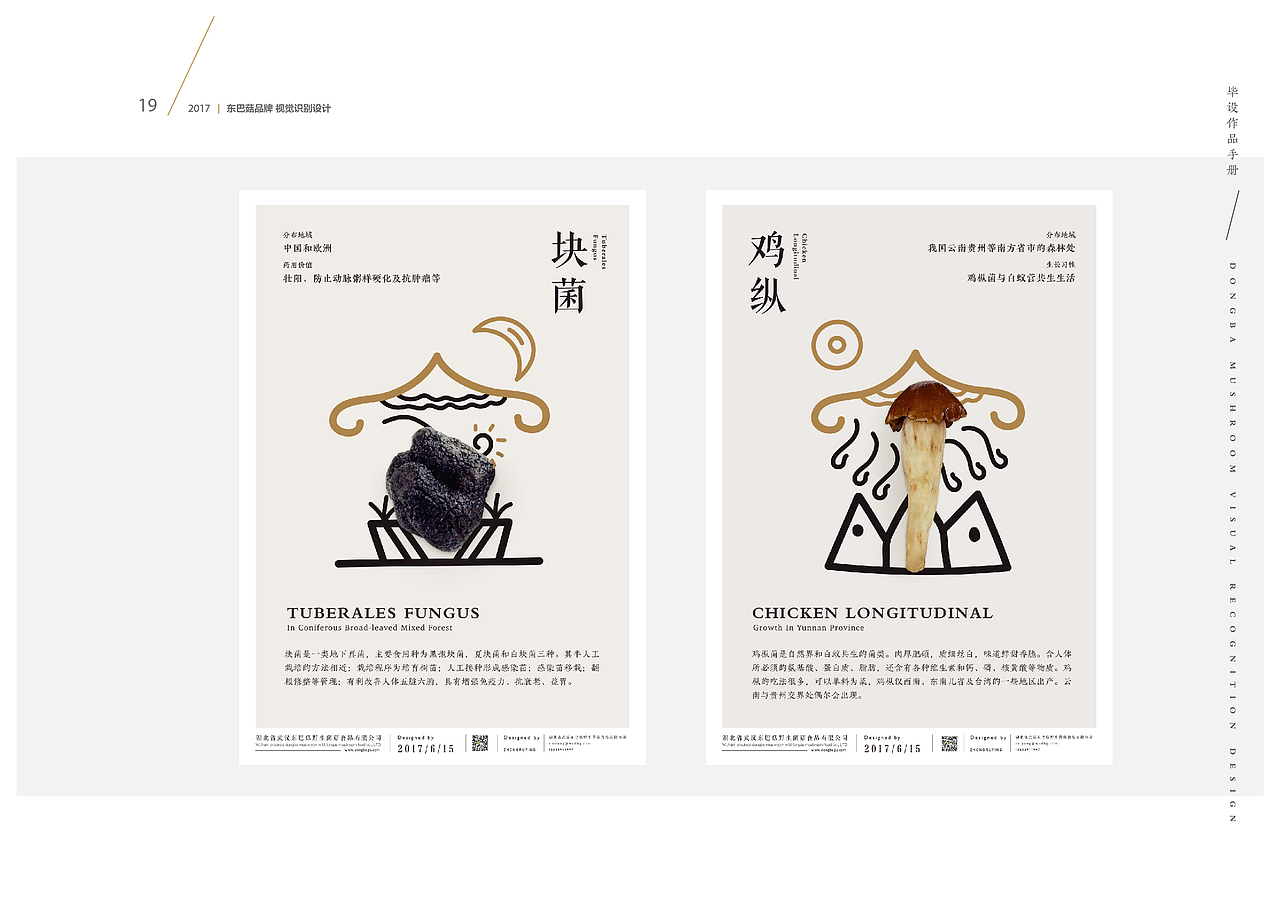 东巴文之字体再设计 —— 运用于云南野生菌菇汤品牌