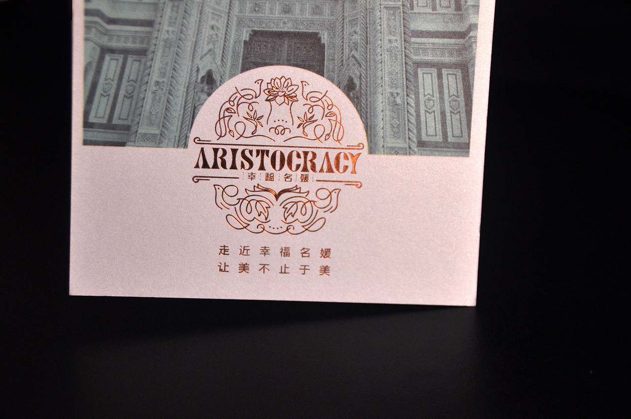 点一案例 | ARISTOCRACY 高端私人美容连锁品牌设计(图ZMTgzNjA3MTU2) - 品牌 - 站酷设计师点一品牌设计原创素材 - 站酷ZCOOL