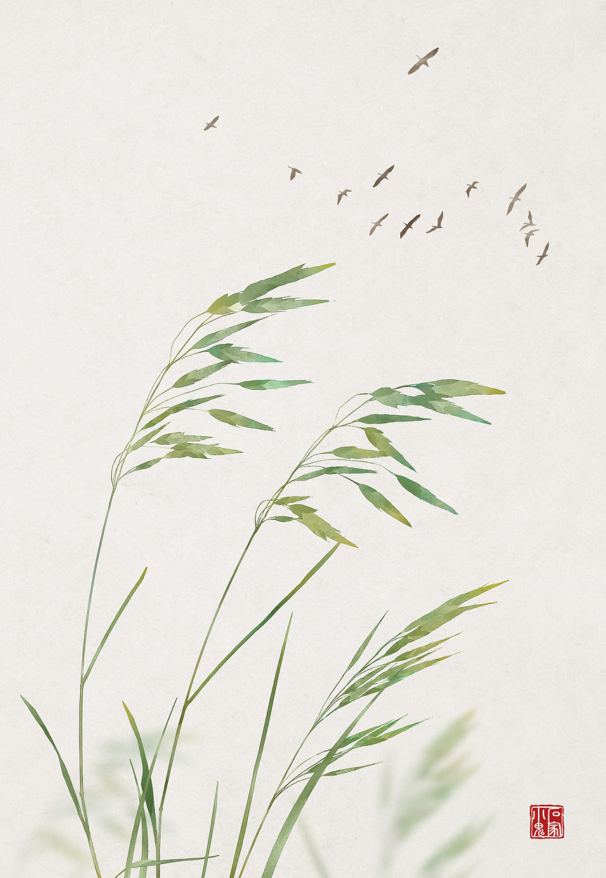 【中国风插画野燕麦】天意怜幽草,人间重晚晴.