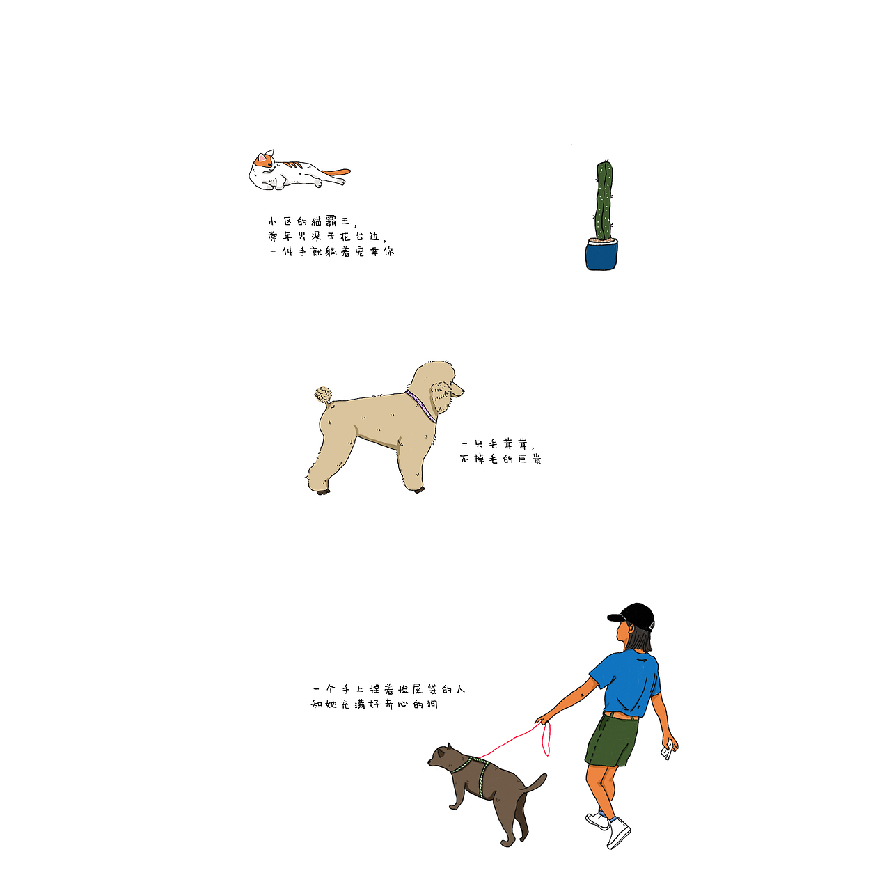 关于最可爱的它们